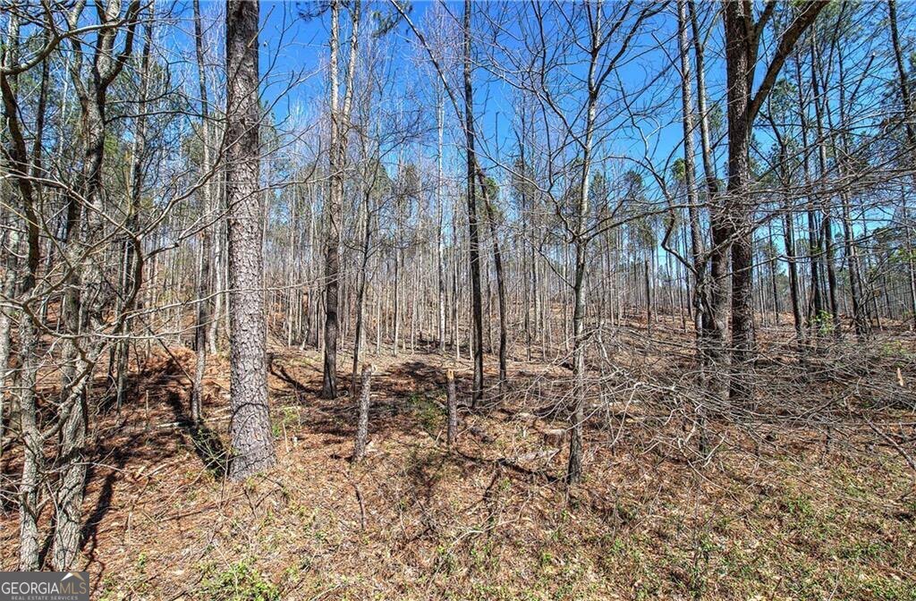 0 Alabama Highway Property Photo 30