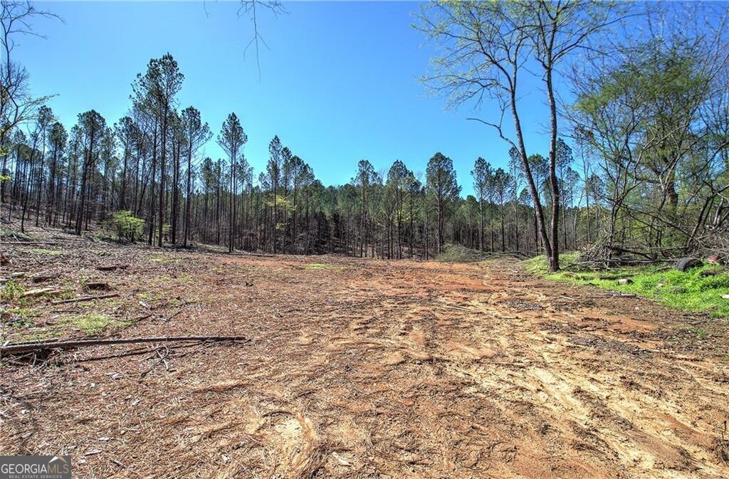 0 Alabama Highway Property Photo 32