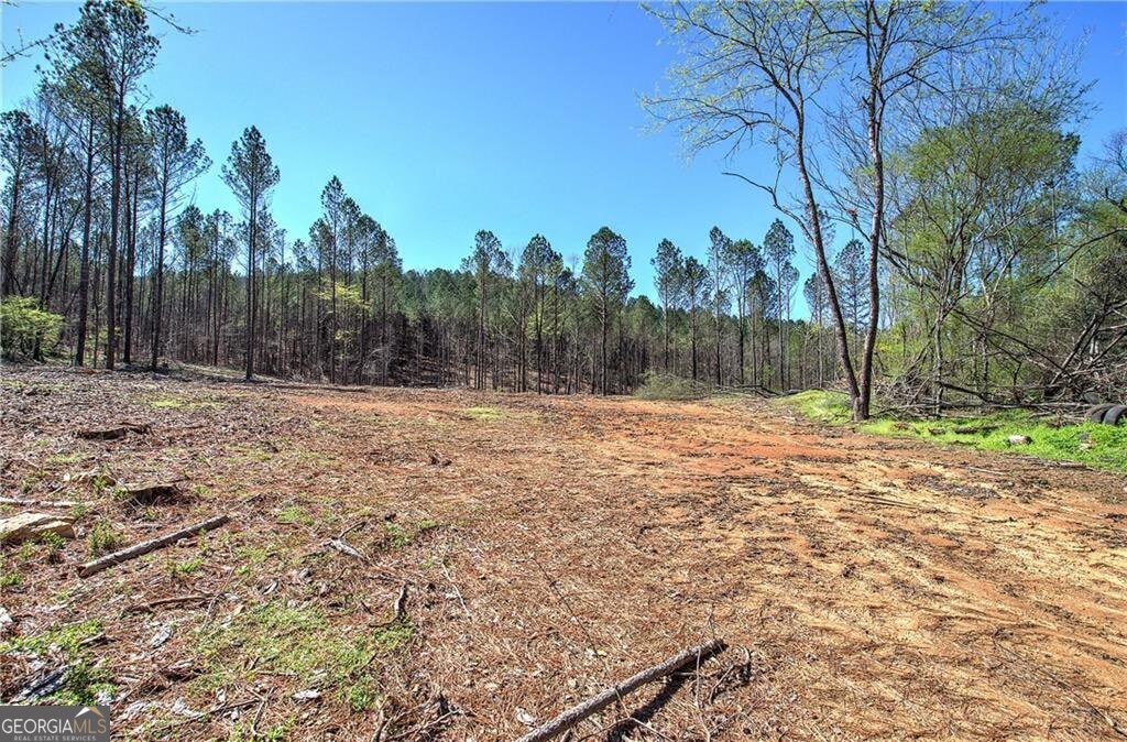 0 Alabama Highway Property Photo 33