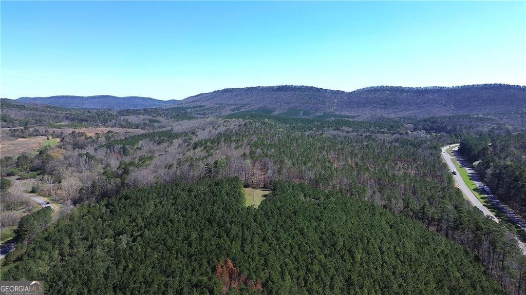 0 Alabama Highway Property Photo 35