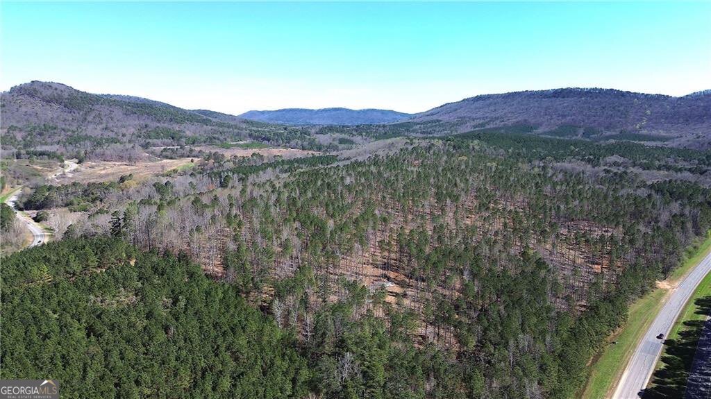 0 Alabama Highway Property Photo 37