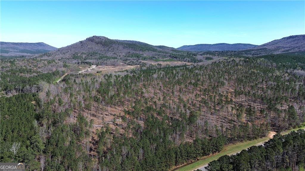 0 Alabama Highway Property Photo 38