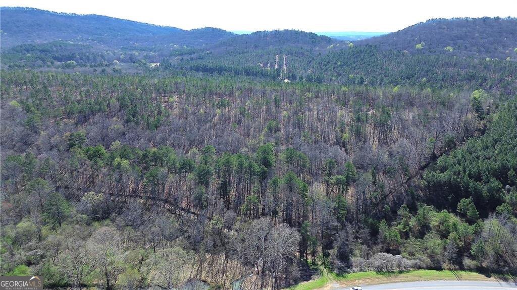 0 Alabama Highway Property Photo 39
