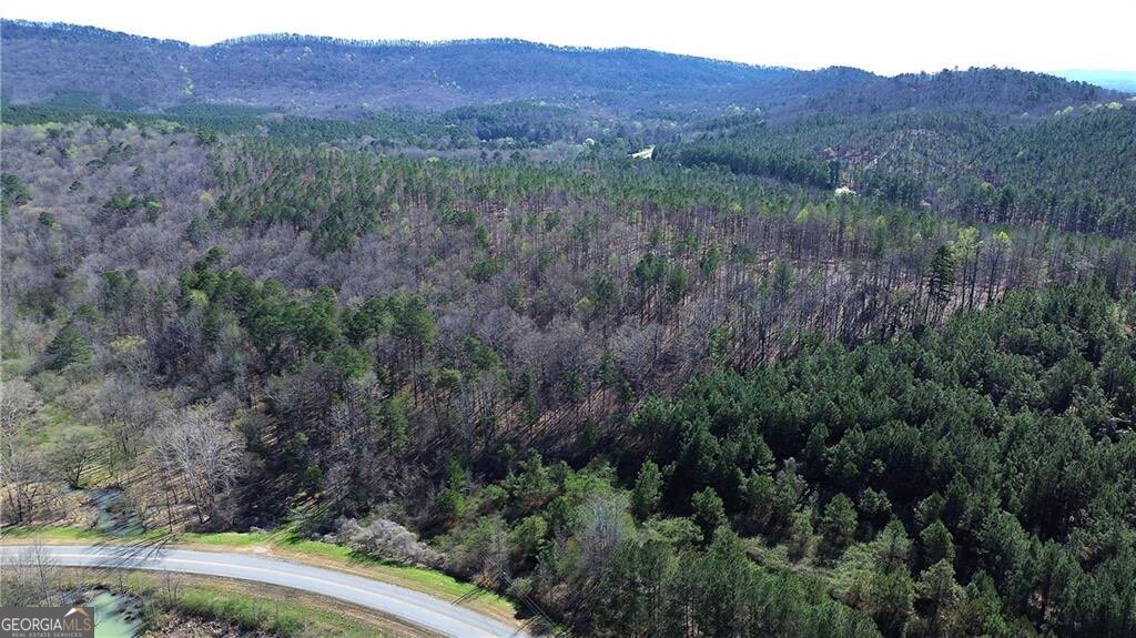 0 Alabama Highway Property Photo 40