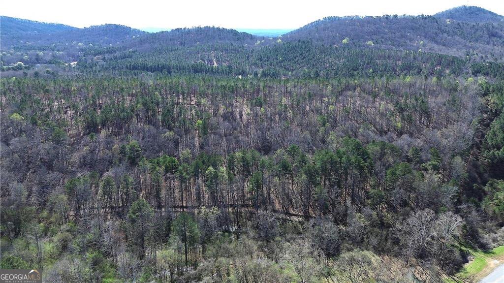 0 Alabama Highway Property Photo 41