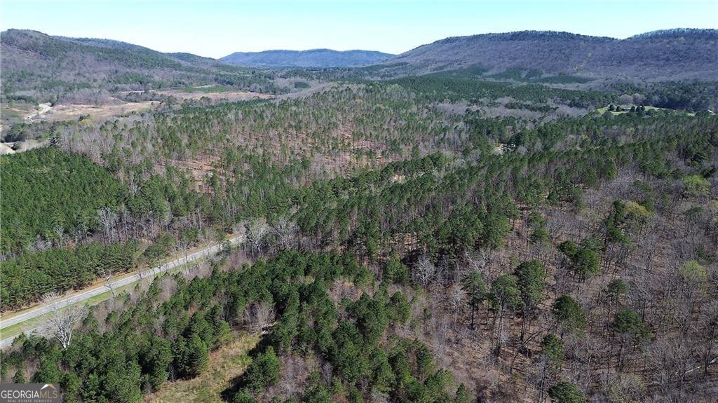 0 Alabama Highway Property Photo 42