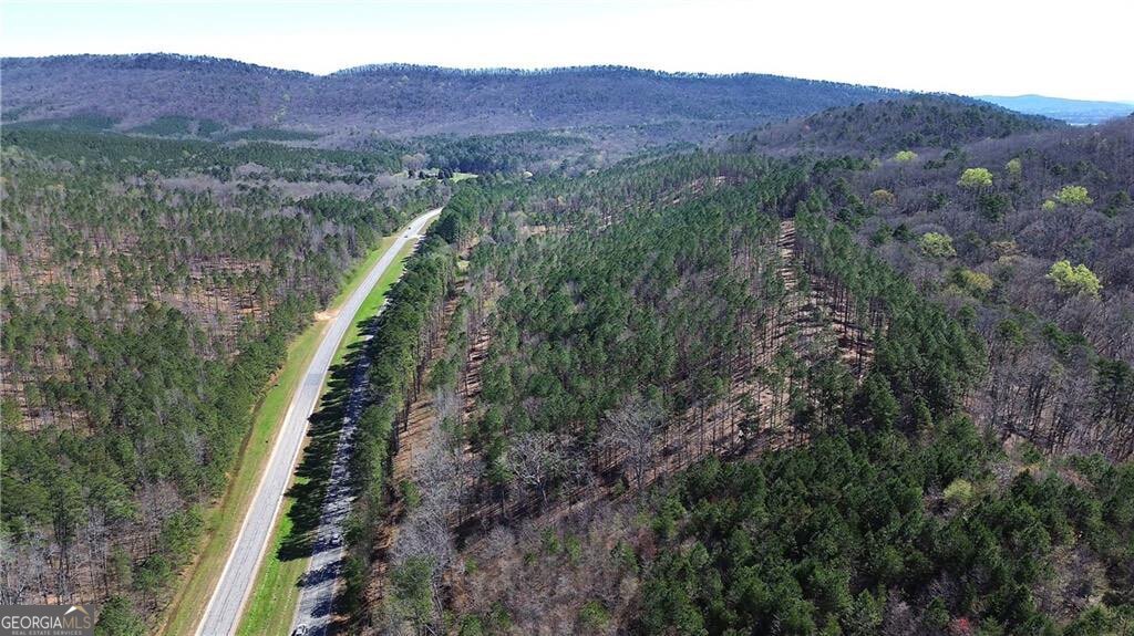 0 Alabama Highway Property Photo 43