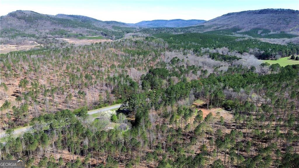 0 Alabama Highway Property Photo 44