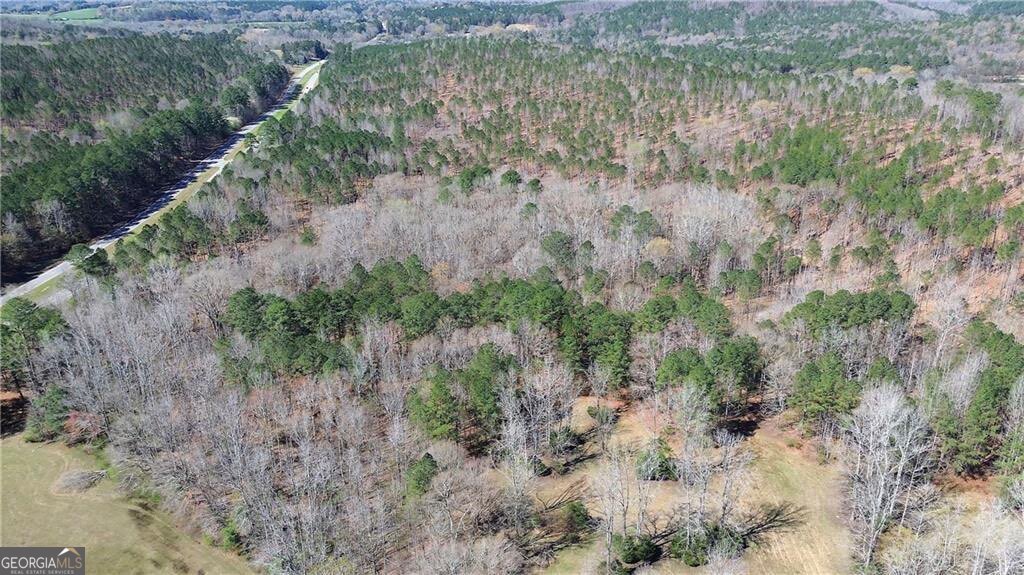 0 Alabama Highway Property Photo 46