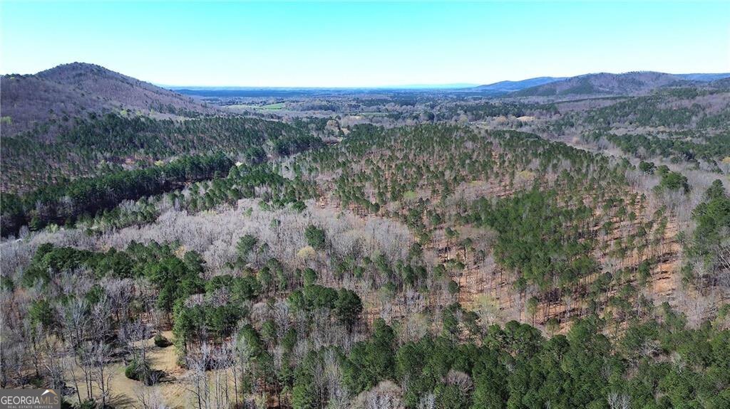 0 Alabama Highway Property Photo 47