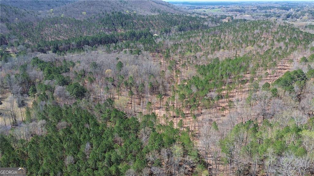 0 Alabama Highway Property Photo 48