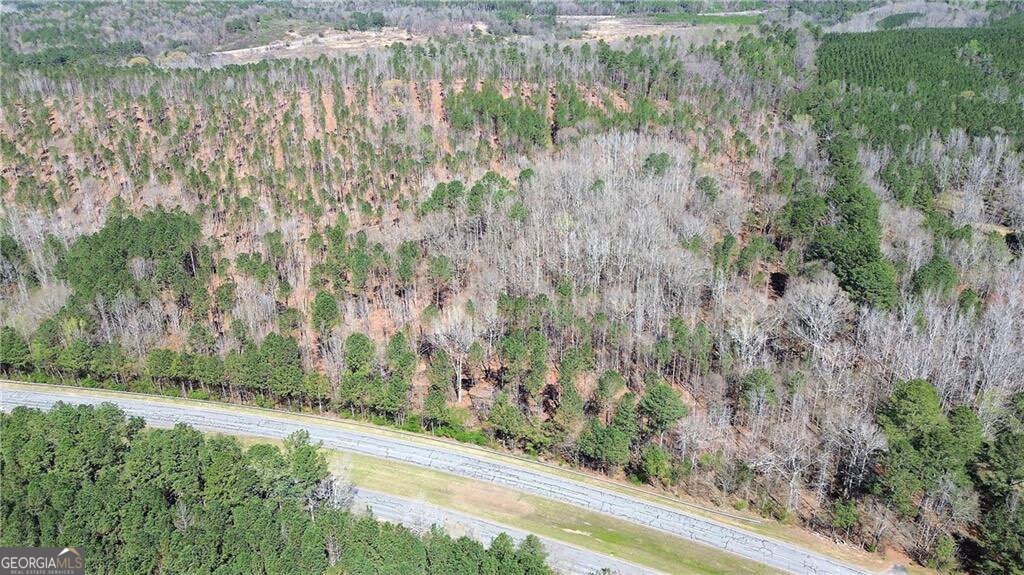 0 Alabama Highway Property Photo 49