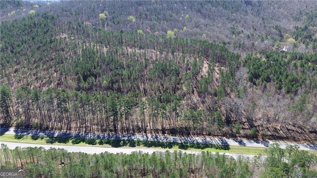 0 Alabama Highway Property Photo 51