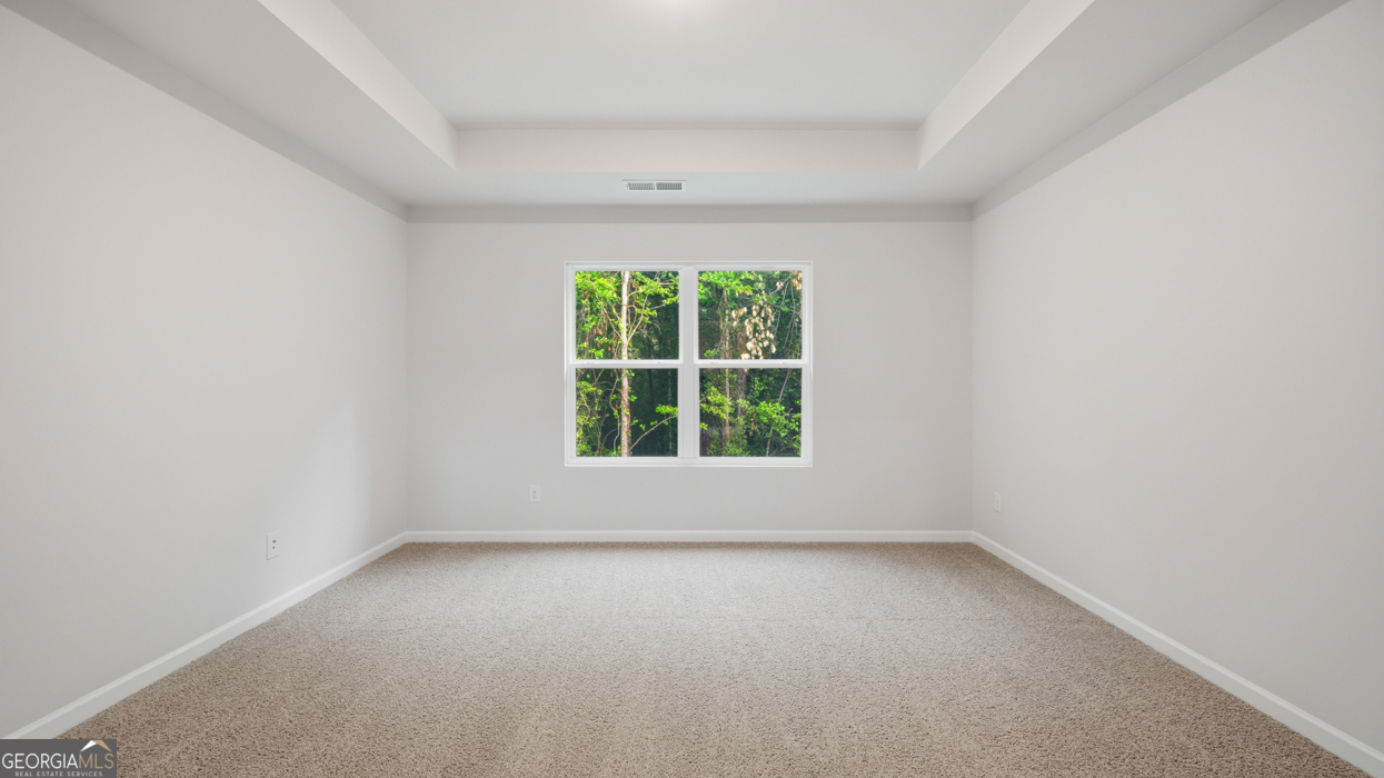 1132 Earlywood Way Property Photo 23