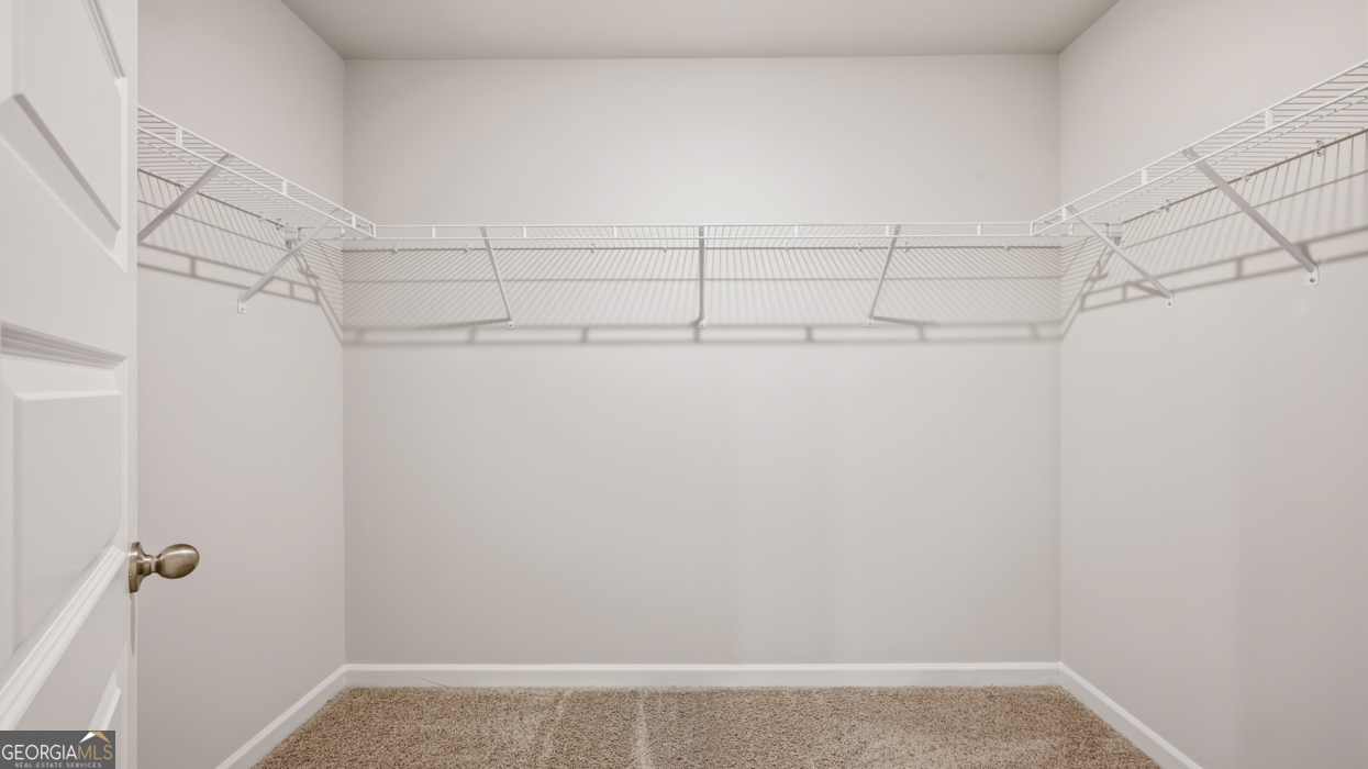 1132 Earlywood Way Property Photo 28