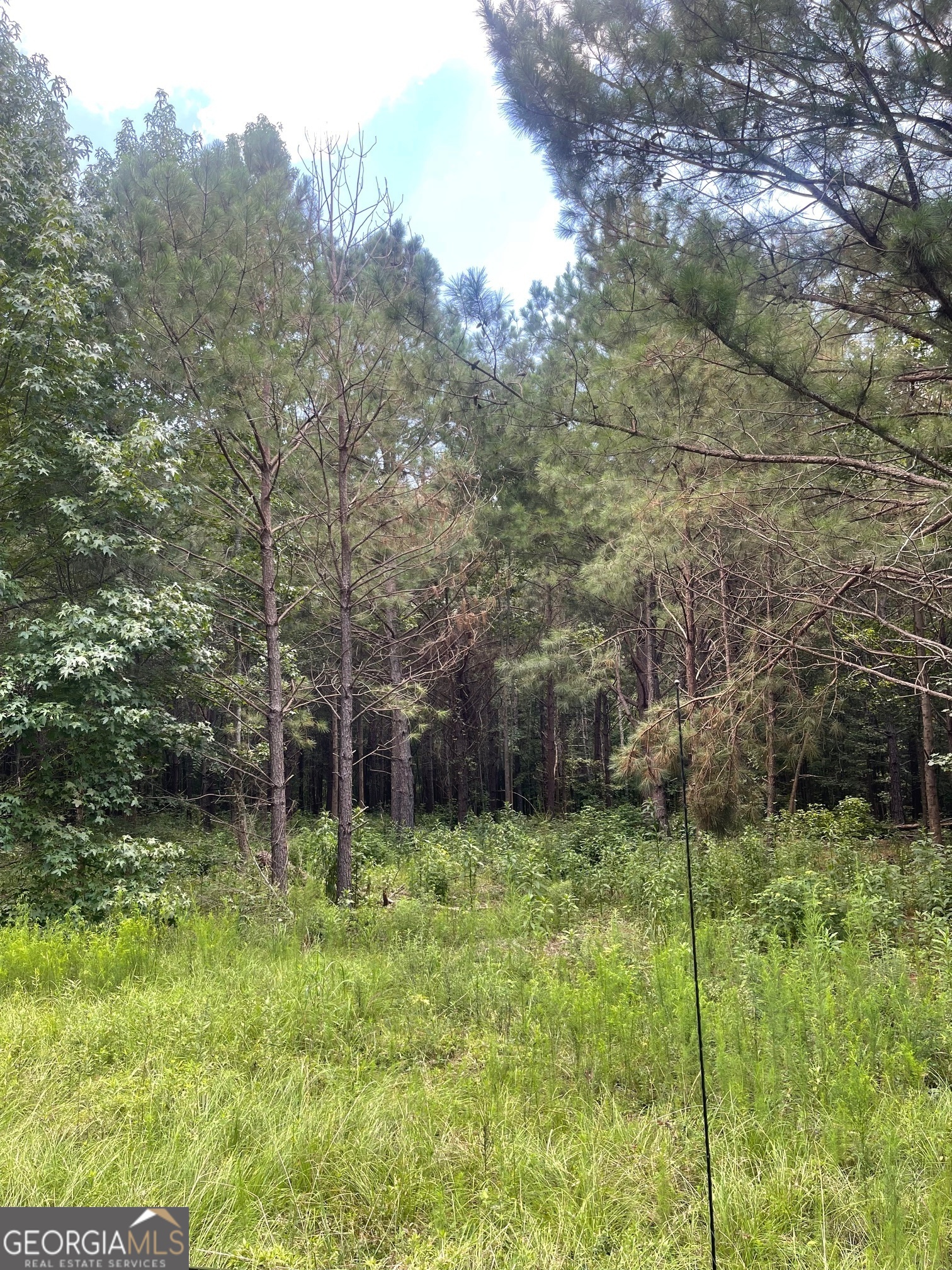 0 Main Street Property Photo 2