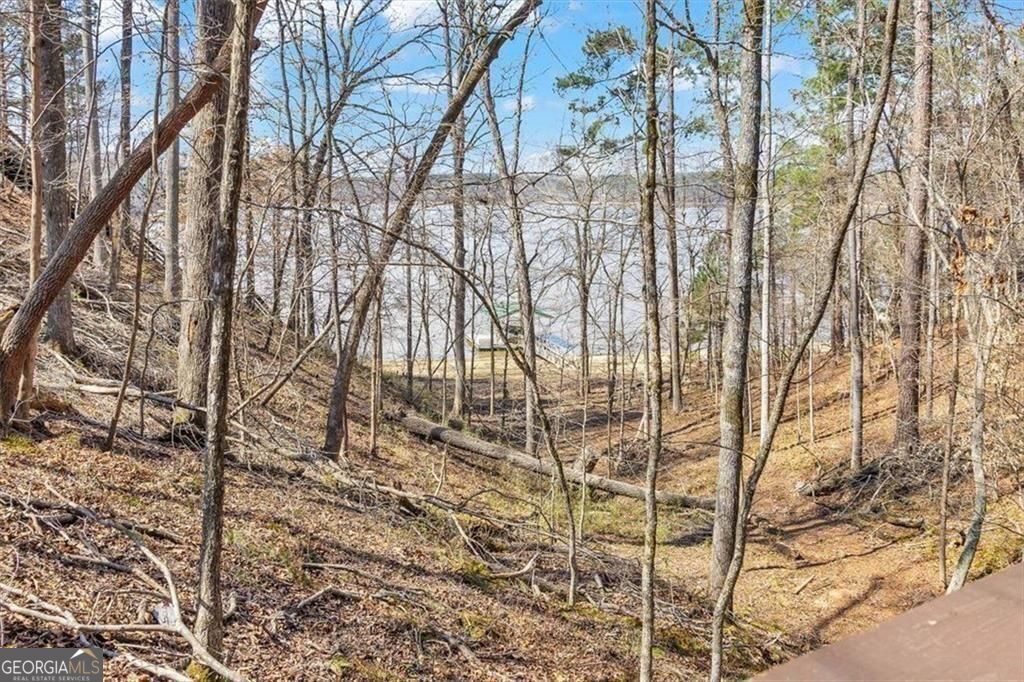 1075 Willow Way Property Photo 11