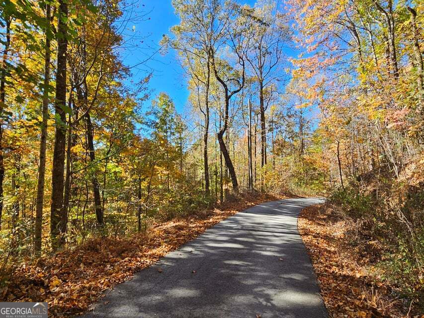 0 Confederate Drive Property Photo 1