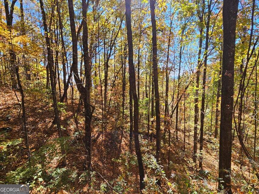 0 Confederate Drive Property Photo 6