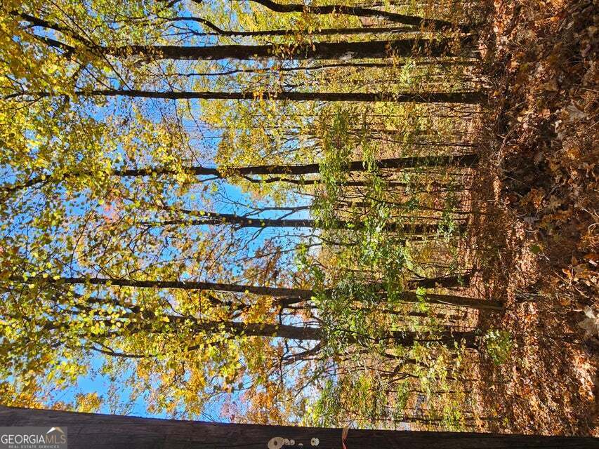 0 Confederate Drive Property Photo 10