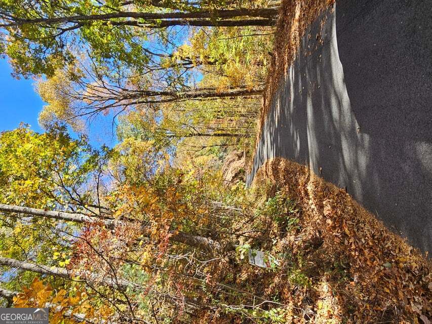 0 Confederate Drive Property Photo 13