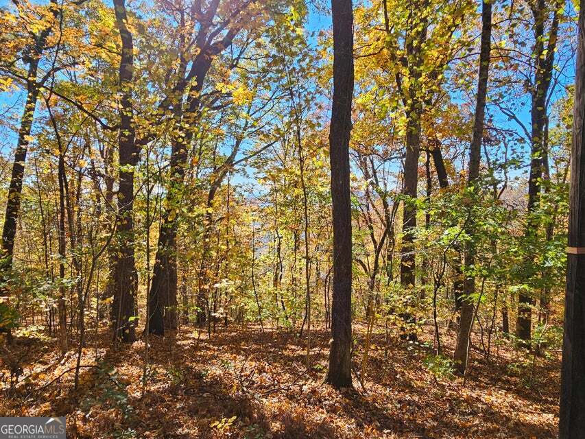 0 Confederate Drive Property Photo 23