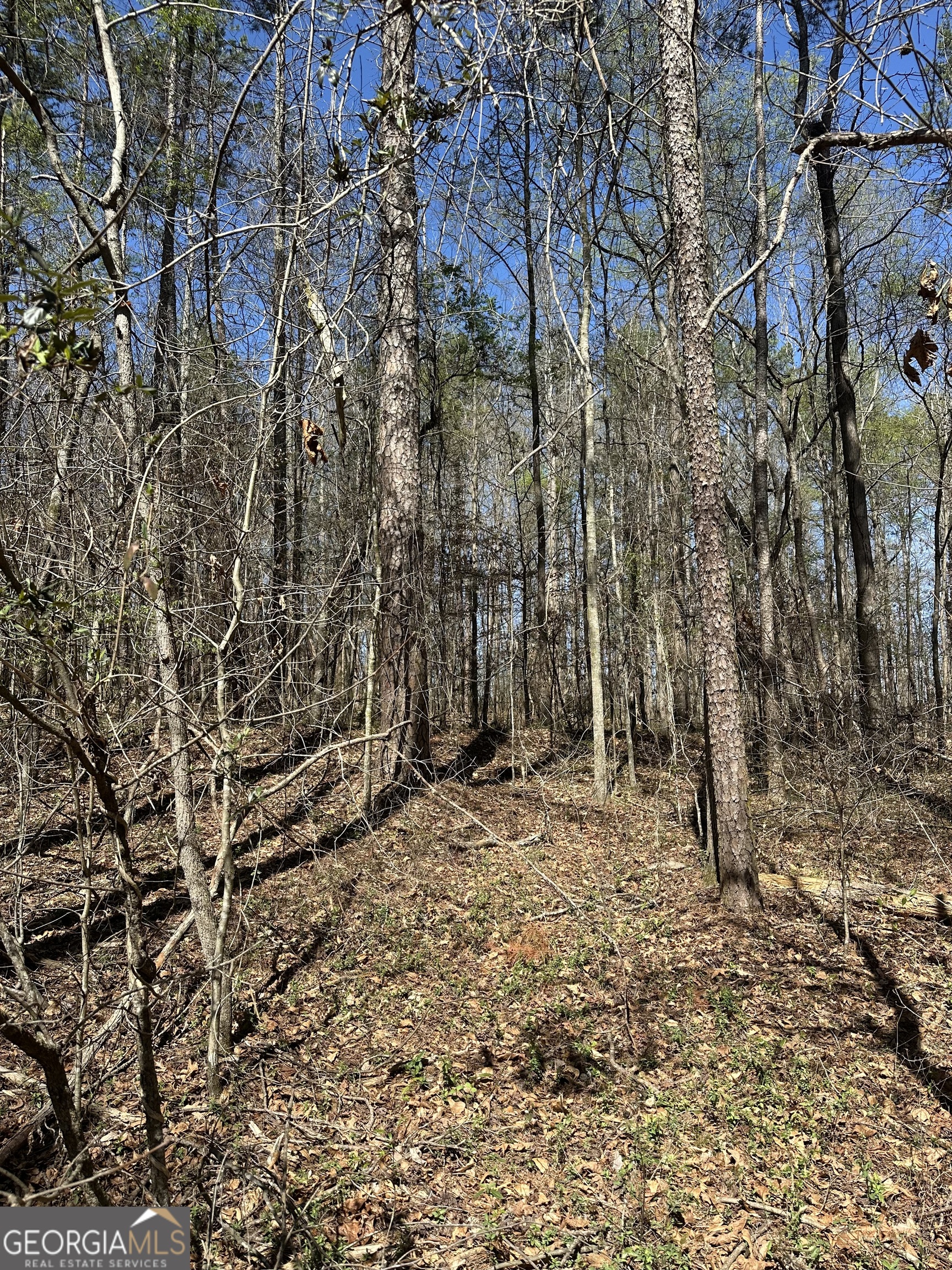 0 Poplar Mountain Lane Property Photo 1