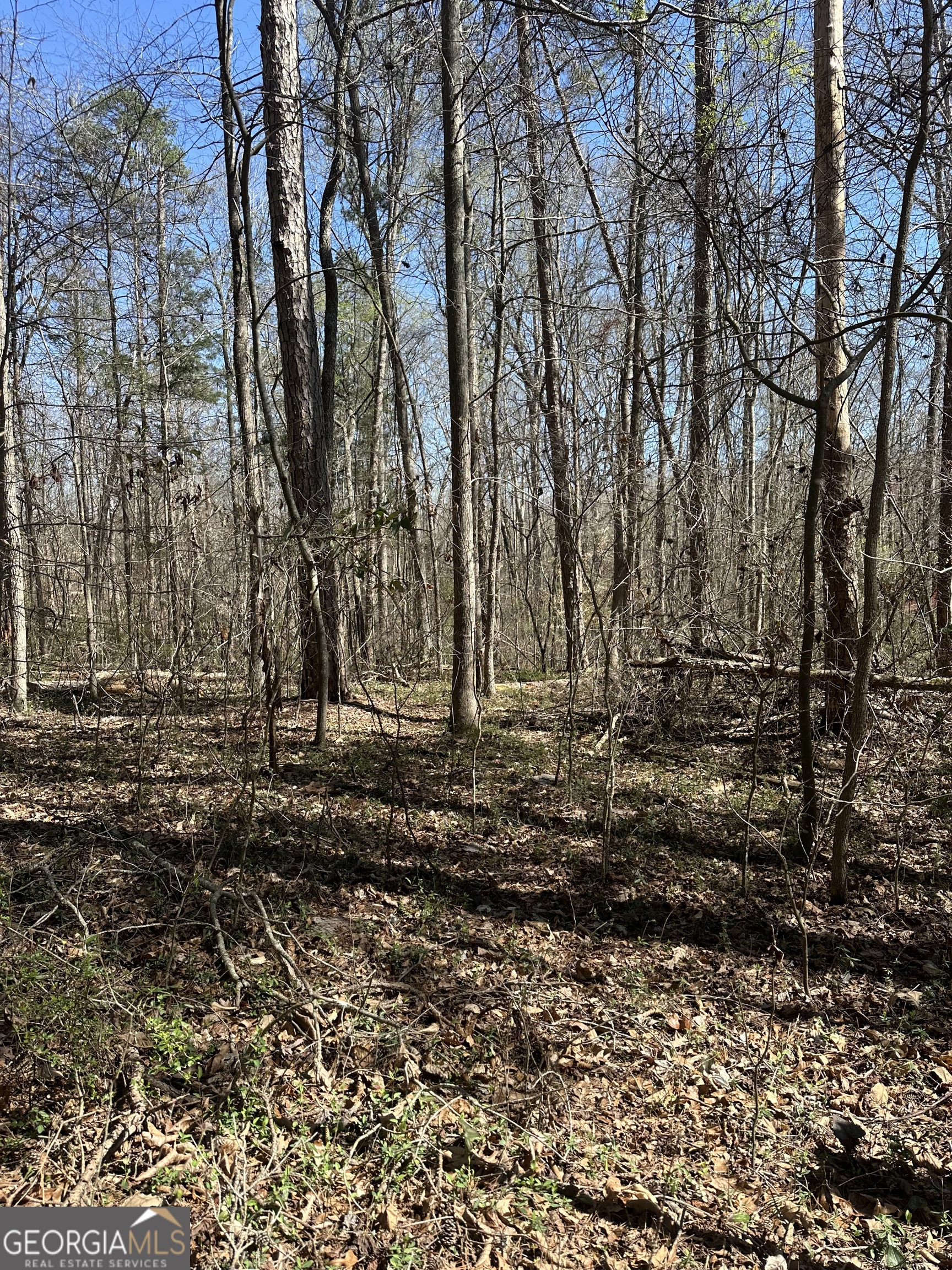 0 Poplar Mountain Lane Property Photo 2