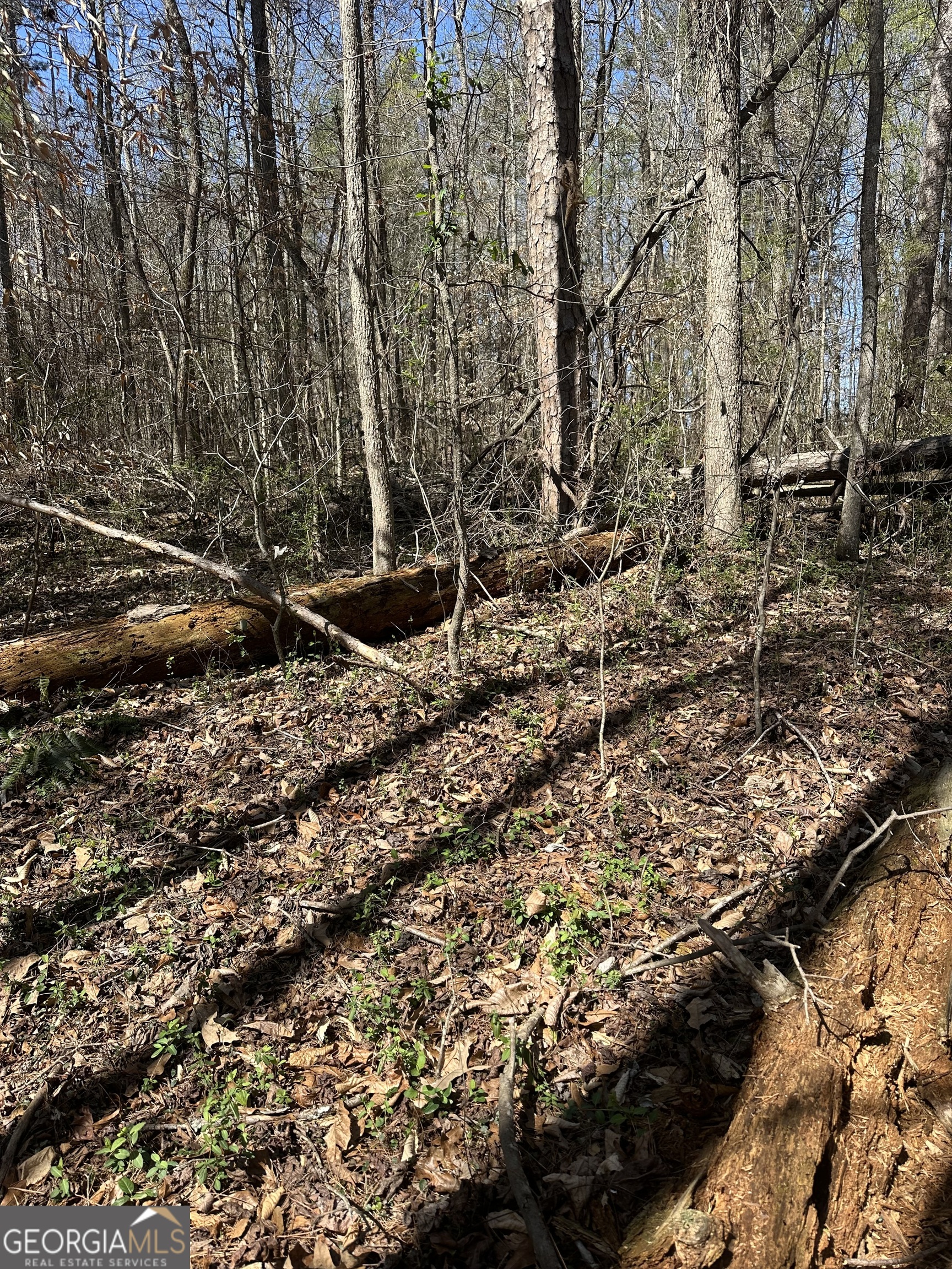 0 Poplar Mountain Lane Property Photo 3