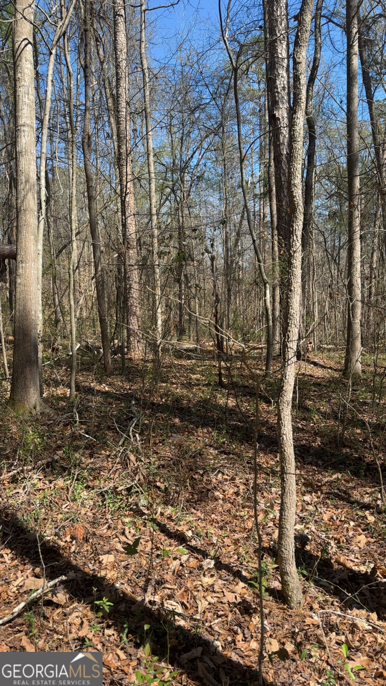 0 Poplar Mountain Lane Property Photo 4