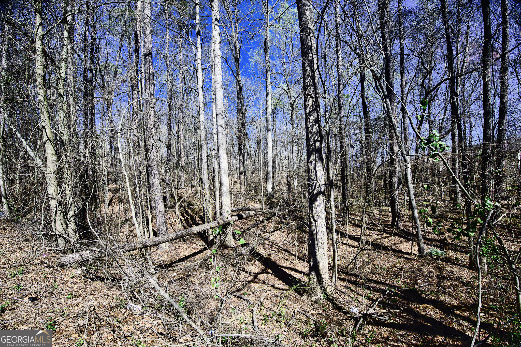 0 W Stubbs Road Property Photo 17