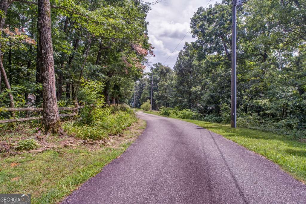 0 Burnt Mountain Ridge Road Property Photo 1