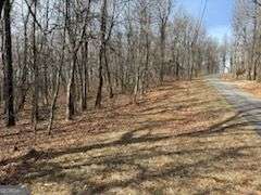 0 Burnt Mountain Ridge Road Property Photo 2