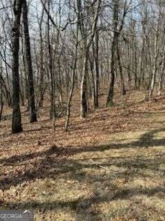 0 Burnt Mountain Ridge Road Property Photo 3