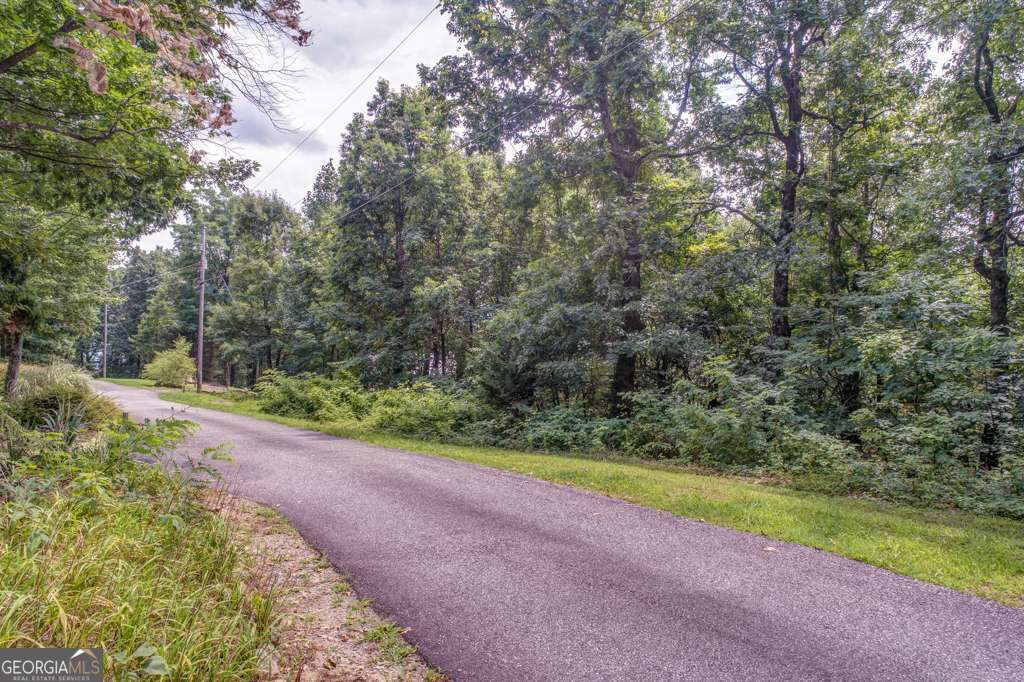 0 Burnt Mountain Ridge Road Property Photo 4