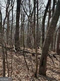 0 Burnt Mountain Ridge Road Property Photo 5