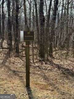 0 Burnt Mountain Ridge Road Property Photo 9