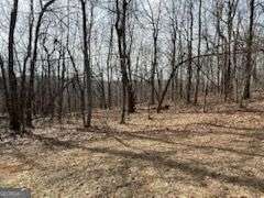 0 Burnt Mountain Ridge Road Property Photo 10