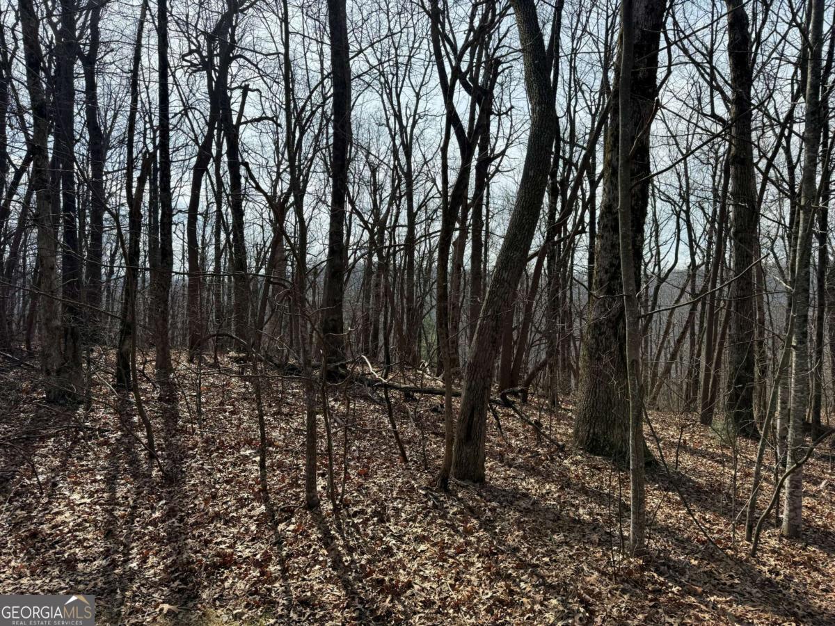 0 Burnt Mountain Ridge Road Property Photo 11