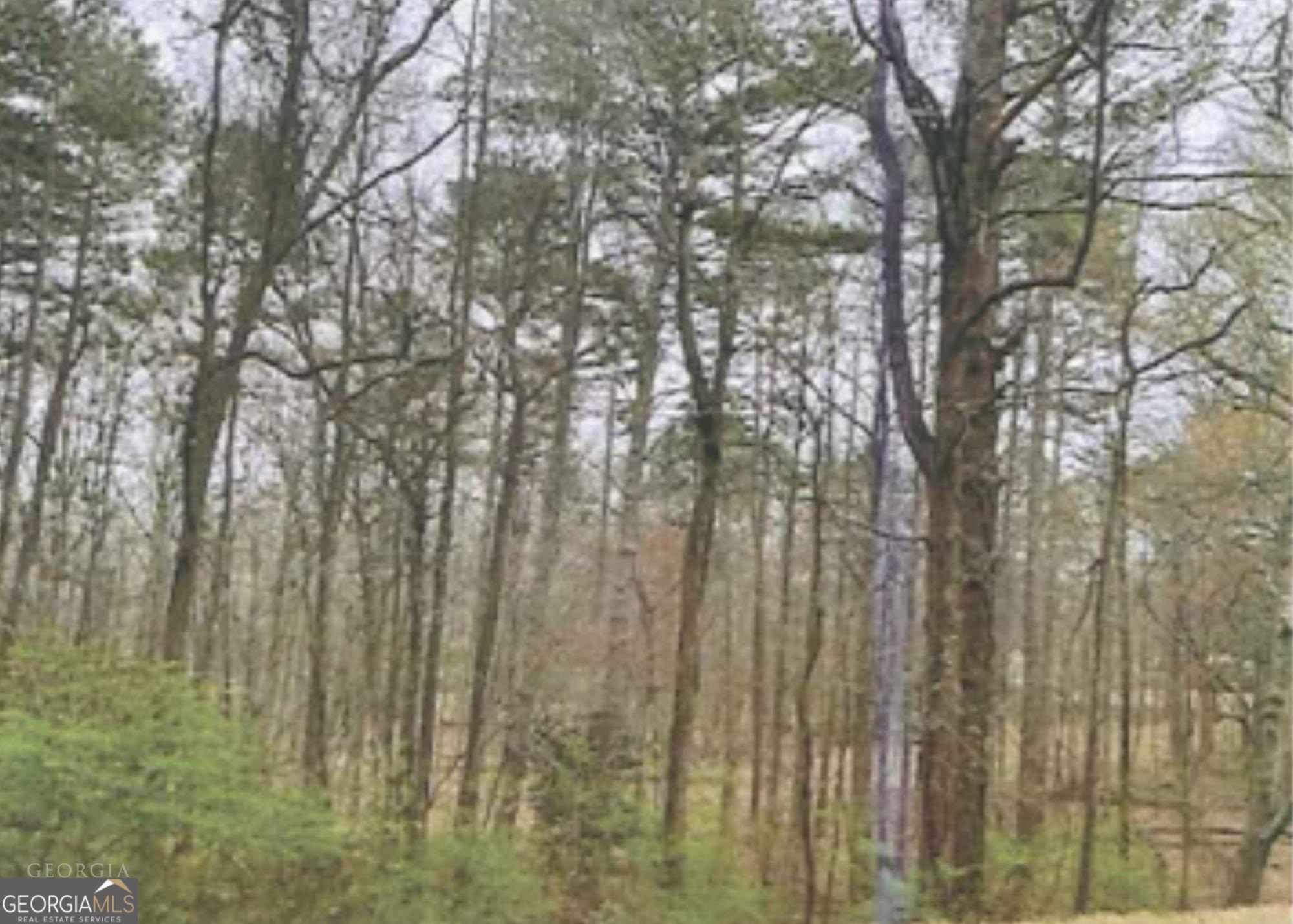 0 Gainesville Highway Property Photo 3