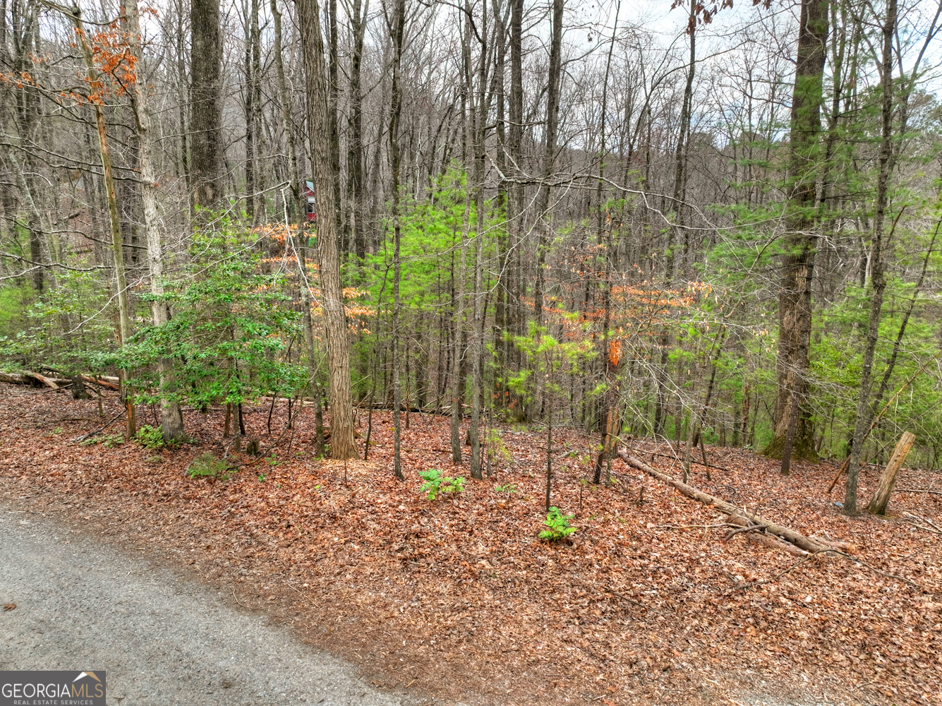 0 Ridge View Court Property Photo 1