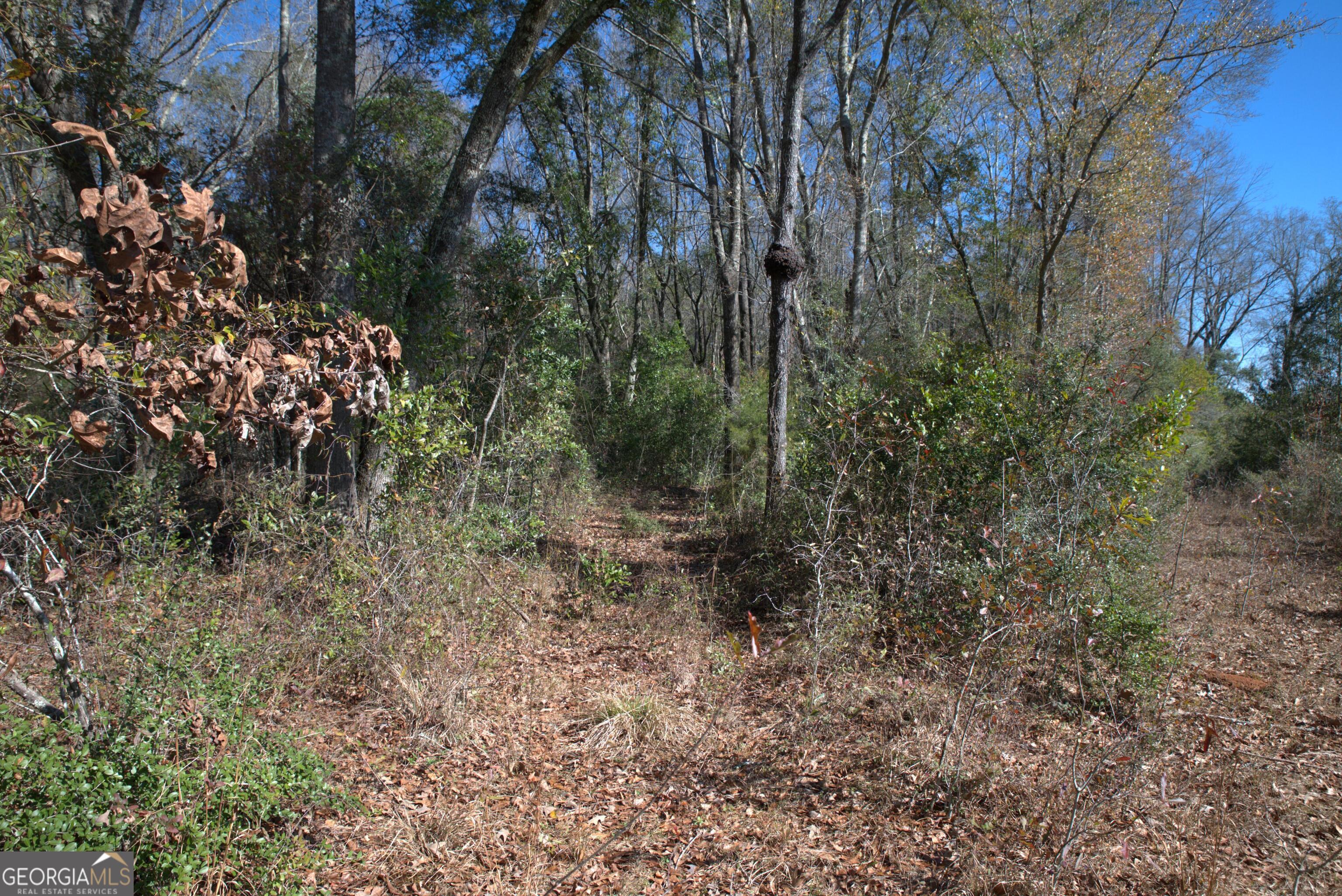 920 Cordele Road Property Photo 3