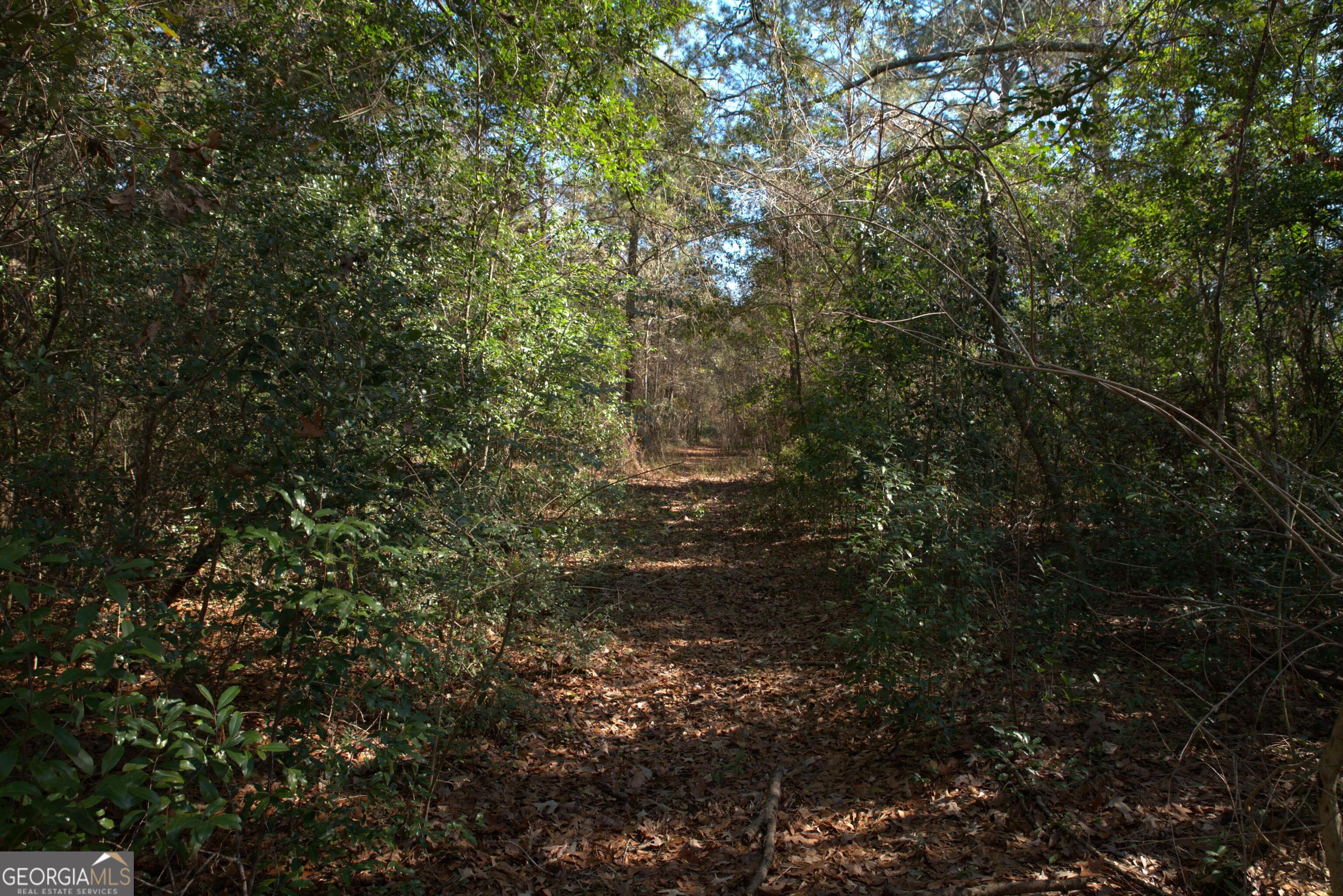 920 Cordele Road Property Photo 4