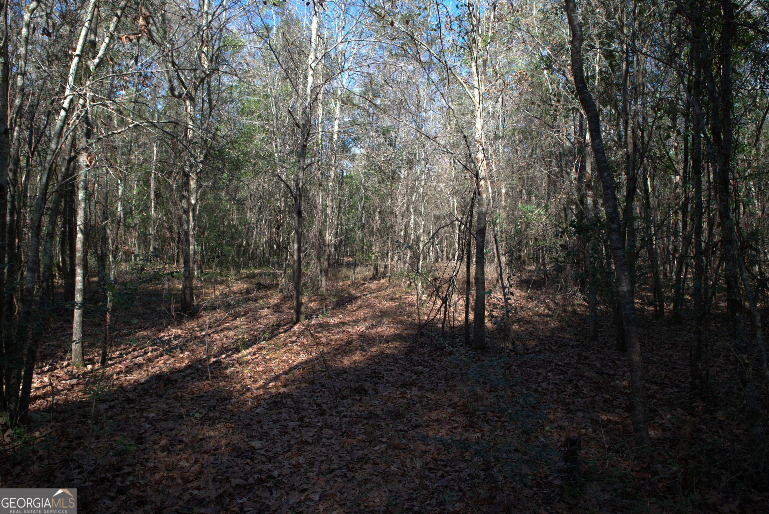 920 Cordele Road Property Photo 6