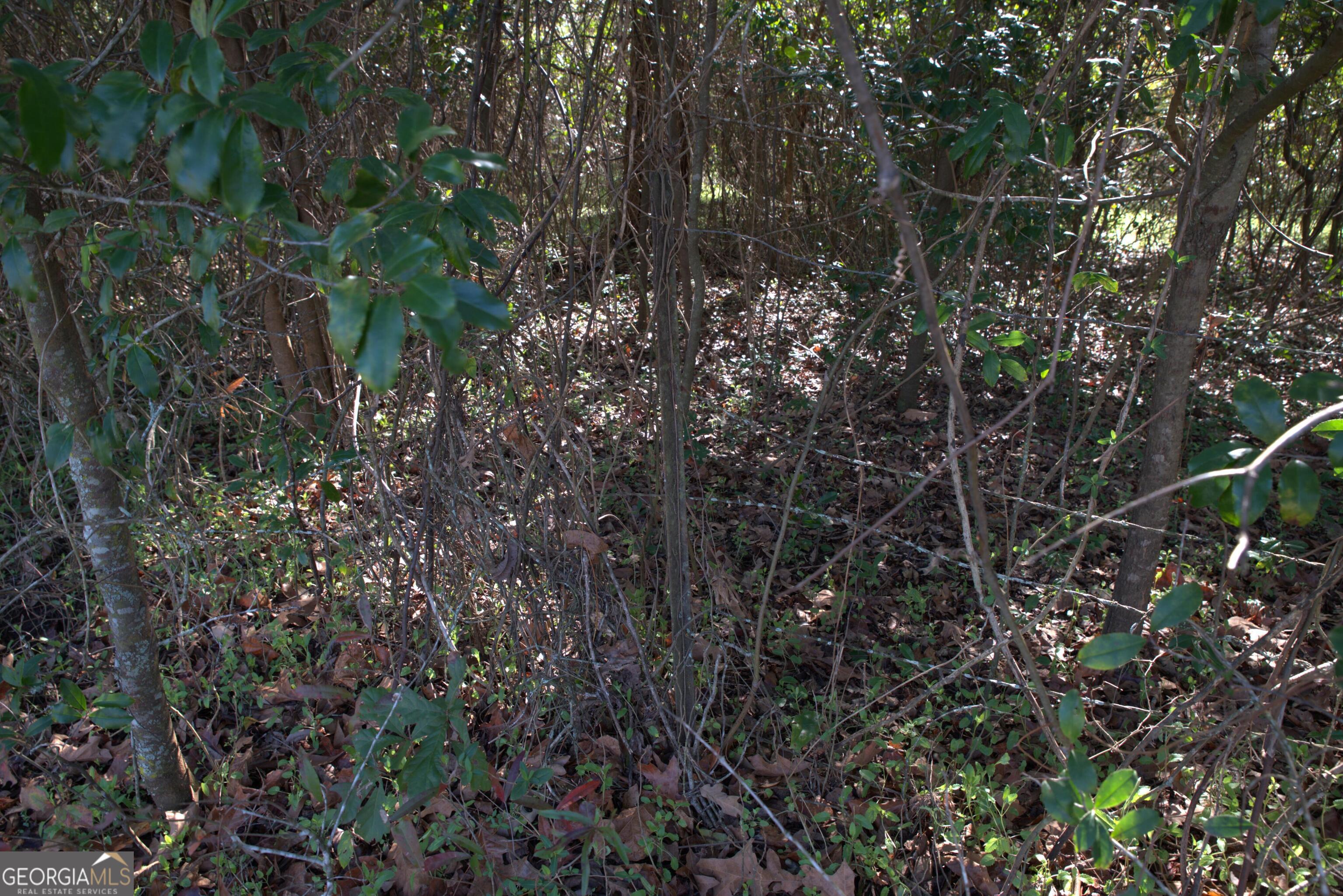 920 Cordele Road Property Photo 8