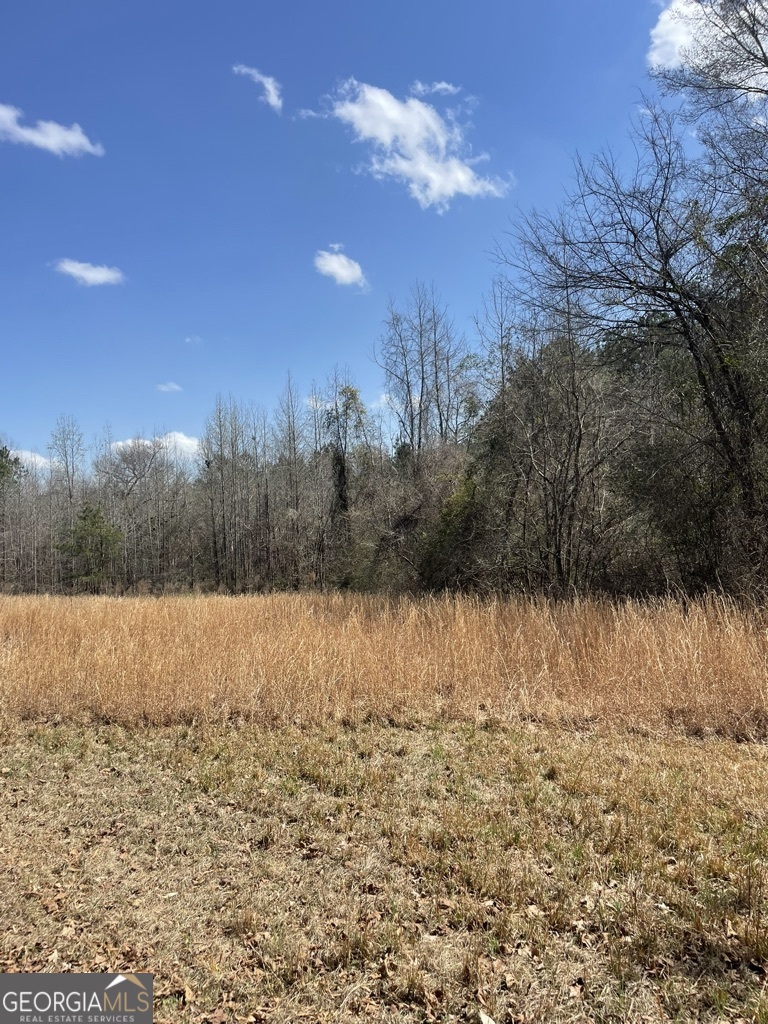 0 Minor Property Photo 2