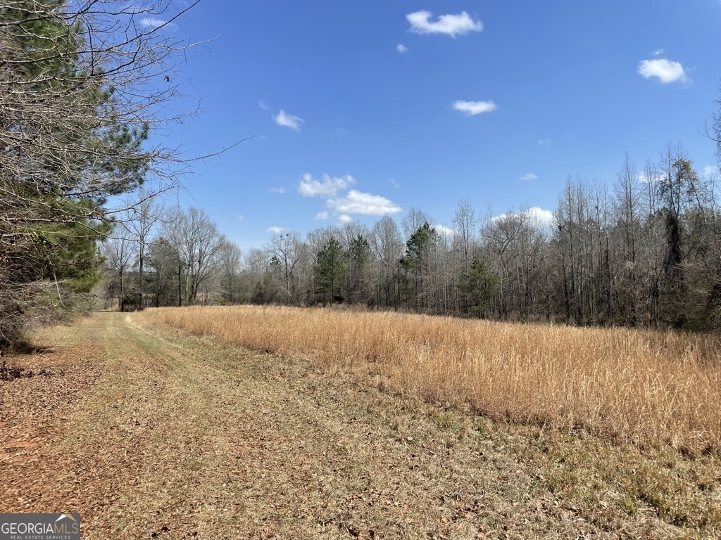 0 Minor Property Photo 3