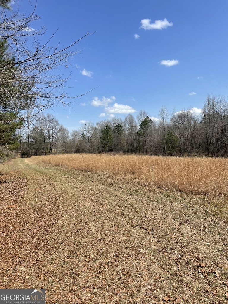 0 Minor Property Photo 5