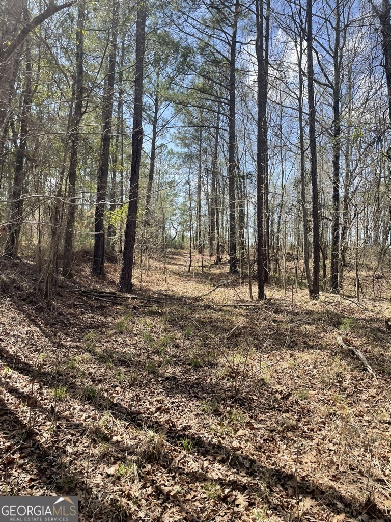 0 Minor Property Photo 6