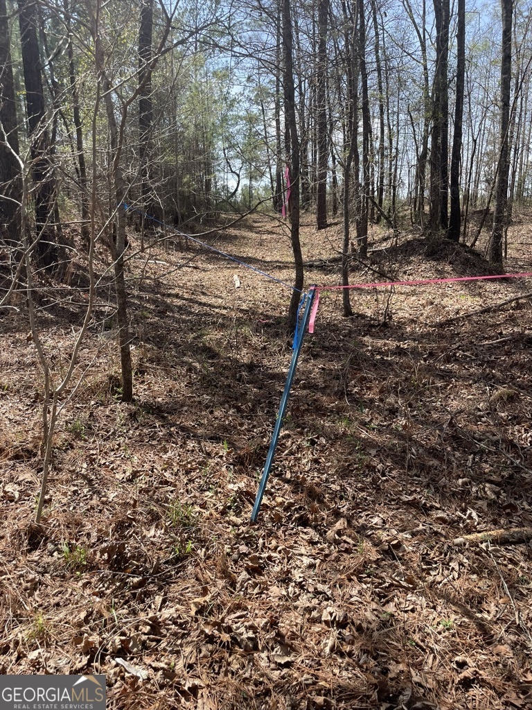 0 Minor Property Photo 7